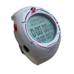 Julien Ingrassia 2021 WRC World Champion