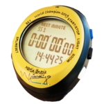 Martin Jarveoja 2019 WRC World Champion